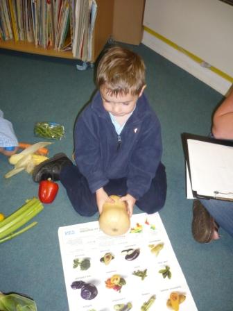 Now what vegetable is this